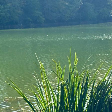Lac De Lumiere. Relax With Rural Lakeside Living Herry Zewnętrze zdjęcie