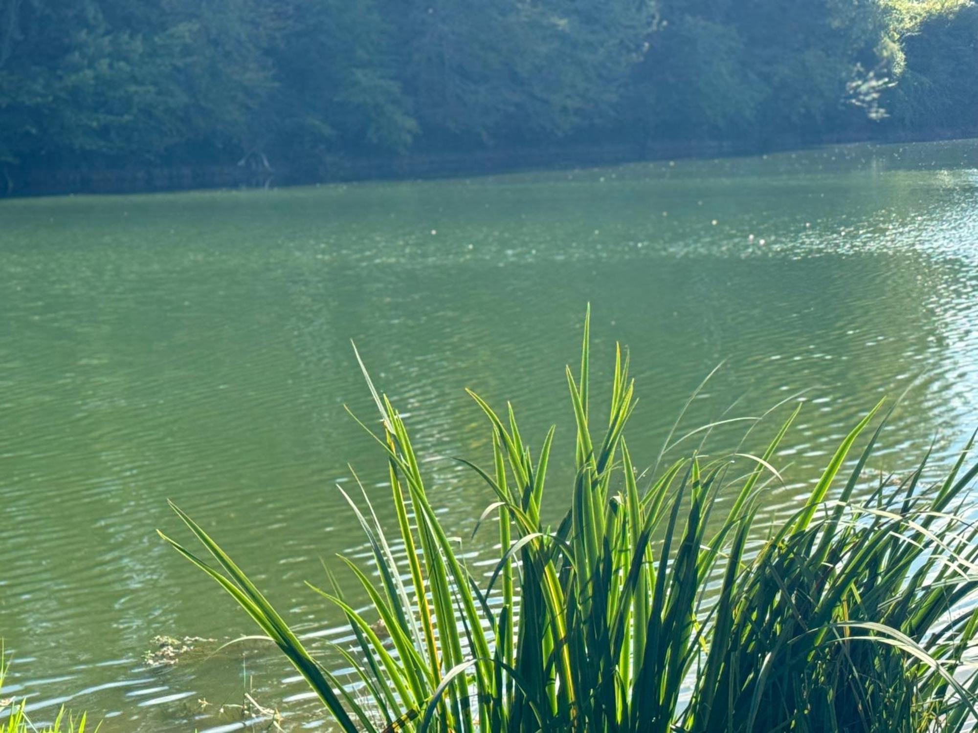 Lac De Lumiere. Relax With Rural Lakeside Living Herry Zewnętrze zdjęcie